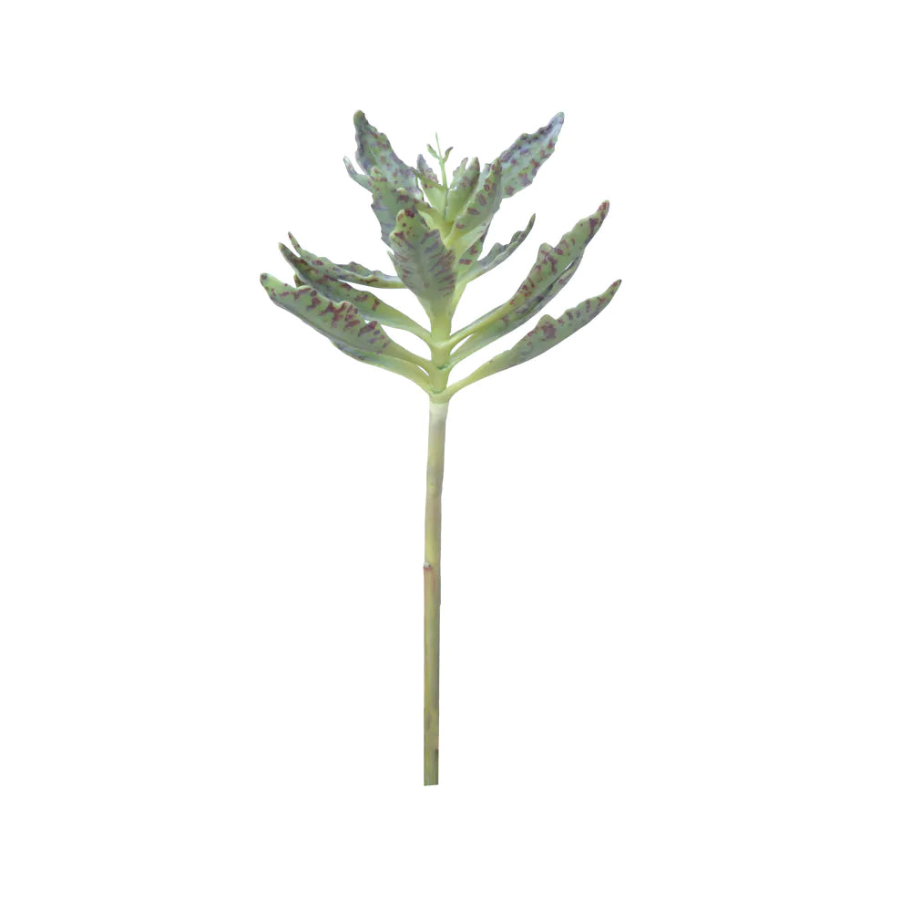 Artificial Kalanchoe Succulent Leaf 52cm - زهرة "كلنكوة" اصطناعية 52سم