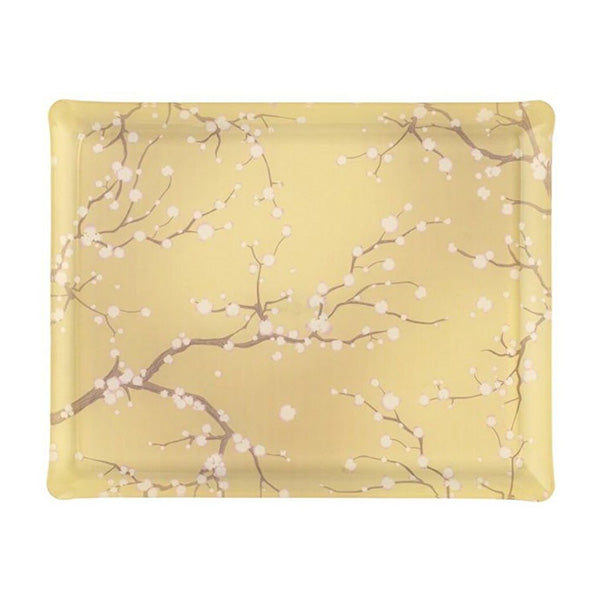 ACRYLIC TRAY 46x36 KYOTO VERT - صينية أكريليك 46×36