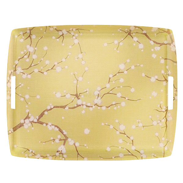 ACRYLIC TRAY 54x43 KYOTO VERT - صينية أكريليك 54×43