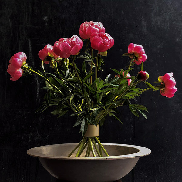 Hanataba 2-pack in Champagne Gold color - باقة ورد هاناتابا 2 عبوة ذهبي