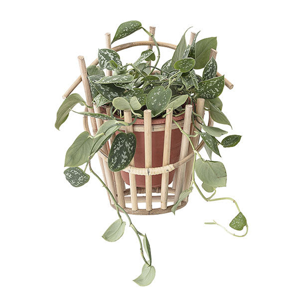 Bamboo Wall Flowerpot 31x30x32cm - أصيص نبات جداري 31x30x32سم