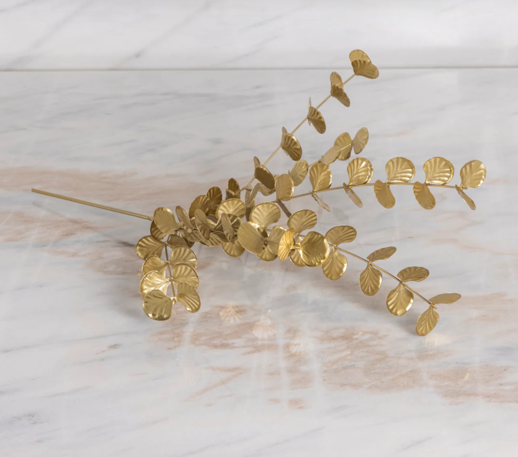 BOTANICAL STEM EUCALYPTUS - شجرة الأوكالبتوس الجذعية النباتية