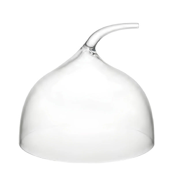 Morleos Harmony Cake Cover With Handle 30.8 -  غطاء كيك اكليريك بمقبض